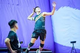 《大谷翔平的“Decoy”：一只萌宠如何引爆了棒球周边的千万市场？》